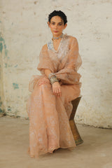 Dune Organza - Saree