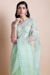 Neo Mint in Silk Organza - Saree