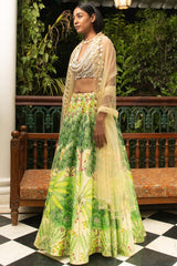 Disha - Lehenga Set