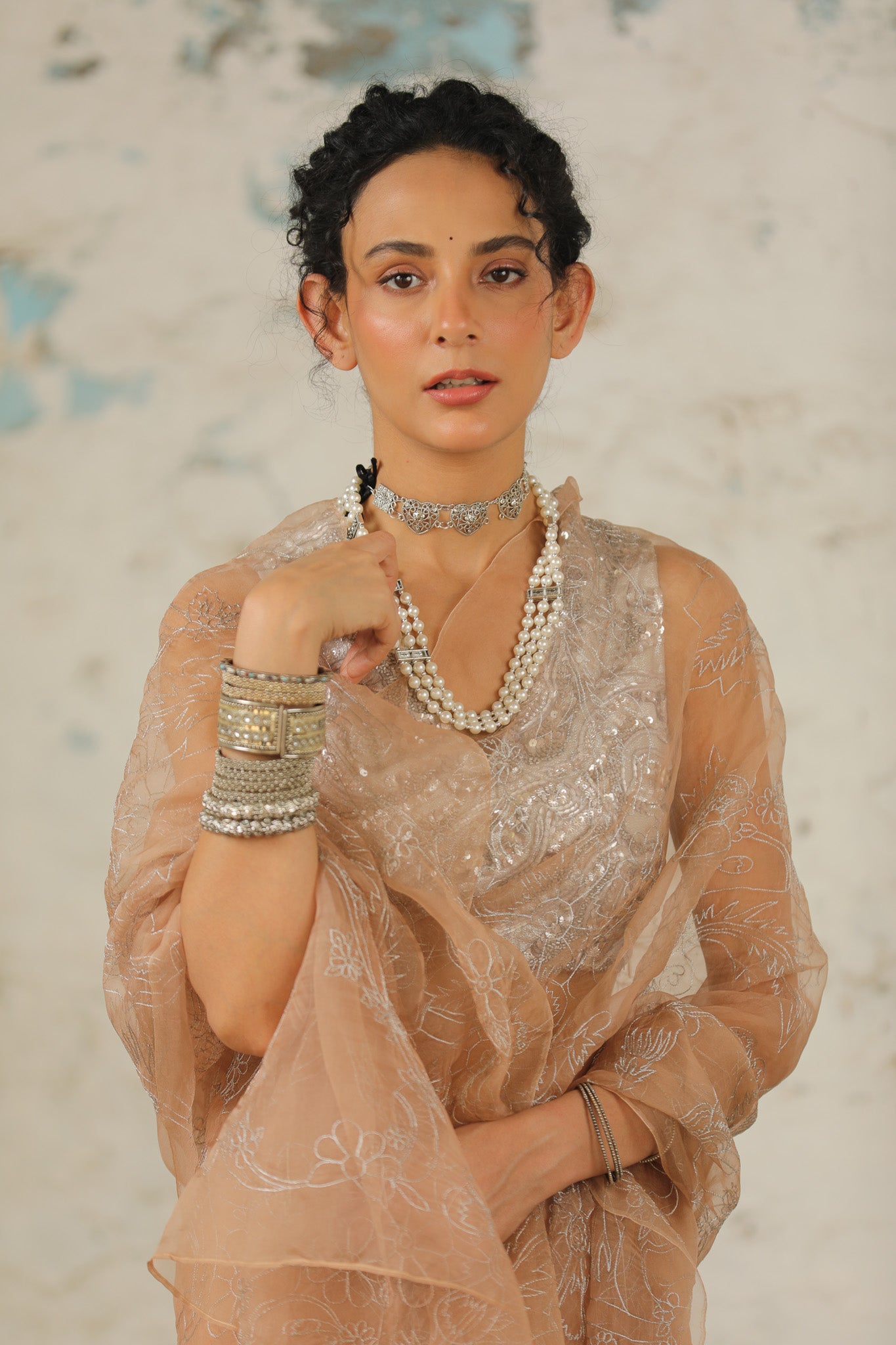 Dune Organza - Saree