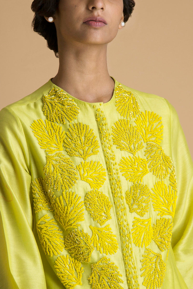 Bright - Embroidered Tunic Set in Chanderi - sakshamneharicka.com