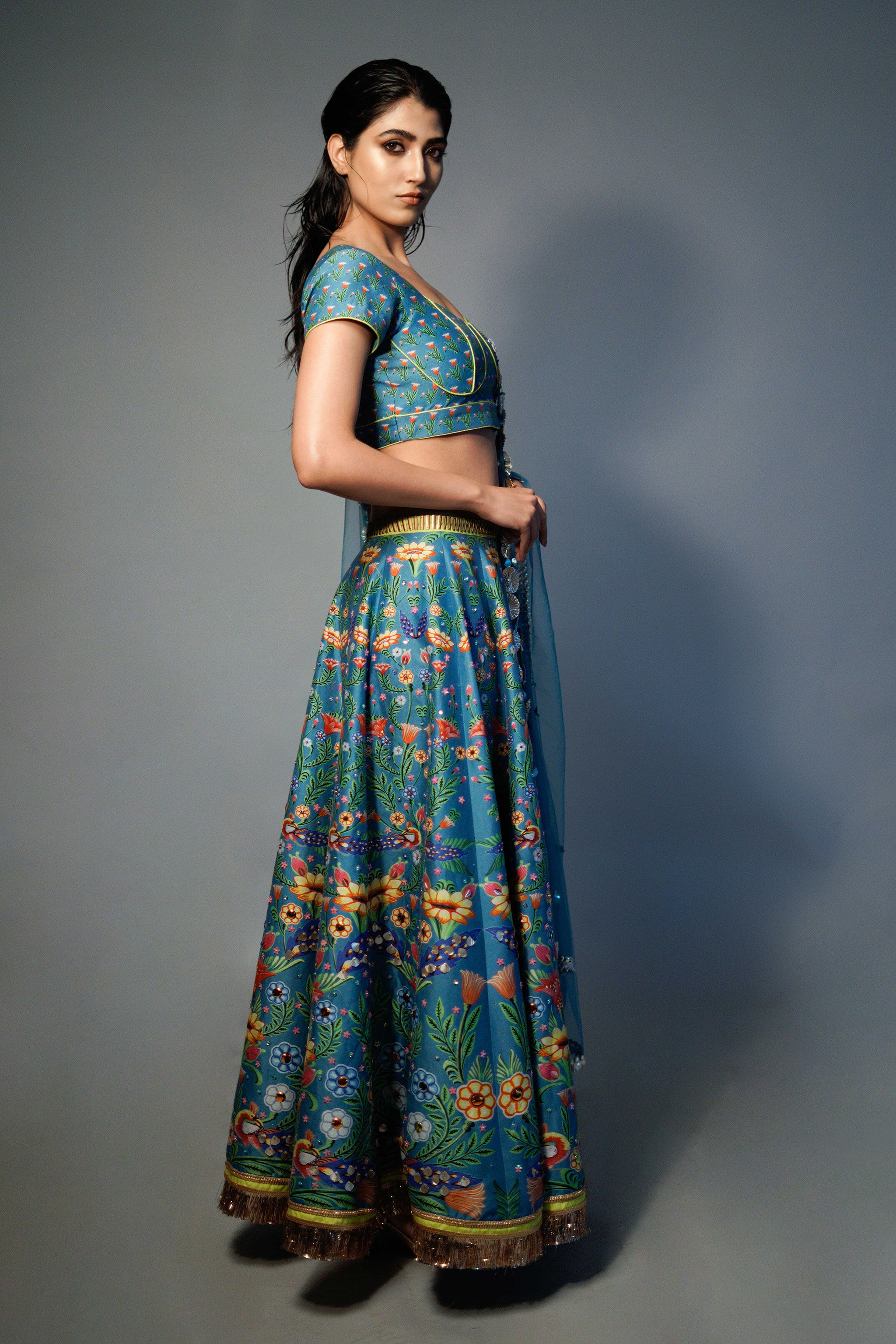 Aarya - Lehenga Set